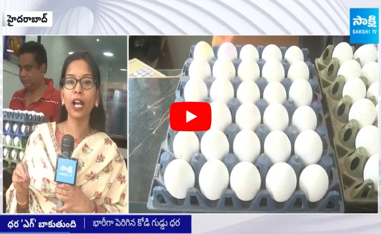 Egg Rate in Hyderabad Market Today