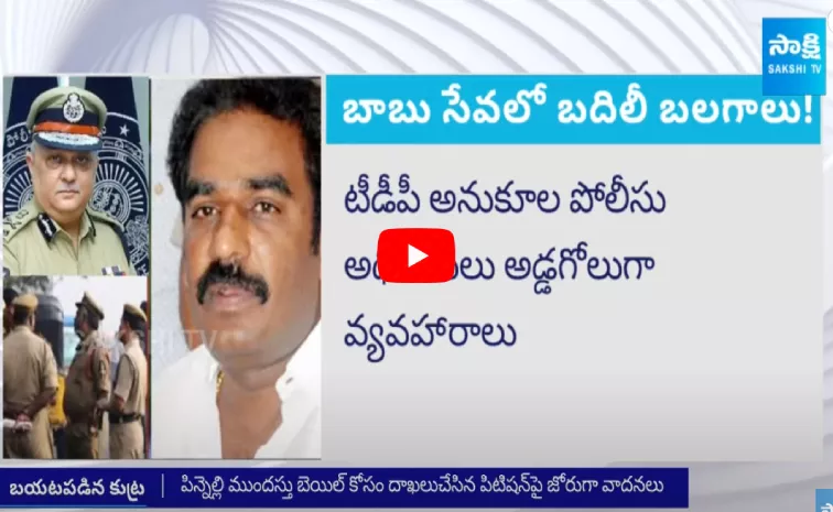 AP Police Conspiracy Acts On Pinnelli Ramakrishna Reddy, AP Elections Polling Day Violence