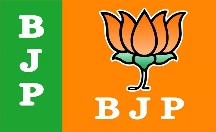 Lok Sabha Election 2024: 295 to 305 seats for bjp