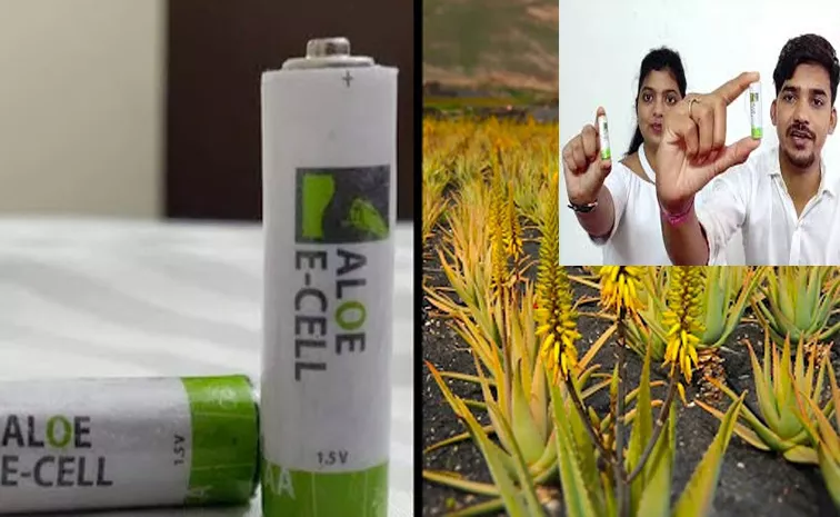 The Techies Who Made Eco Friendly Batteries From Aloe Vera