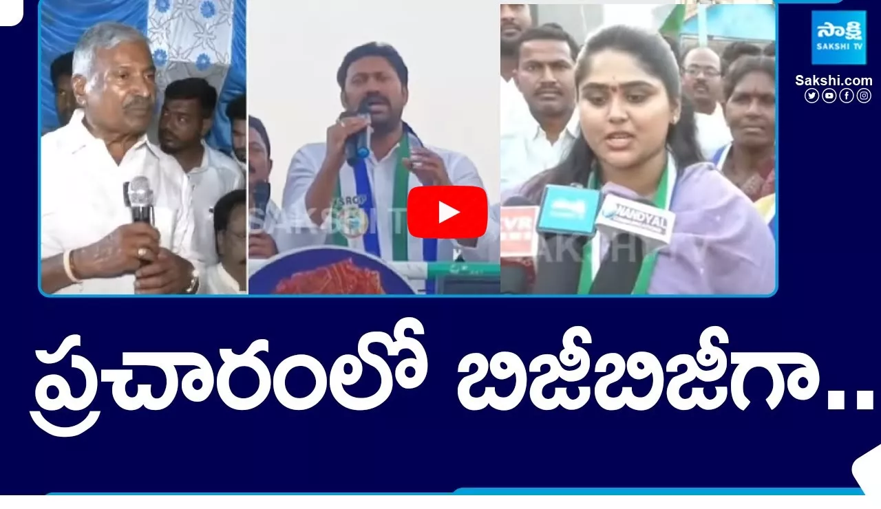 YSRCP Leaders Election Campaign AP Elections 2024