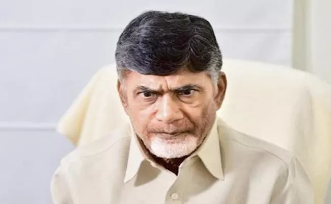 Special Article On Chandra Babu Fake Promises