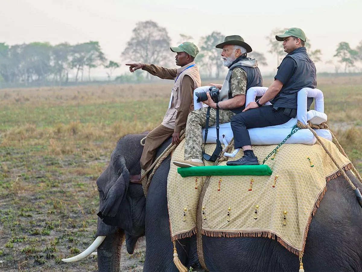 PM Modi Elephant Safari at Assam Kaziranga National Park - Sakshi