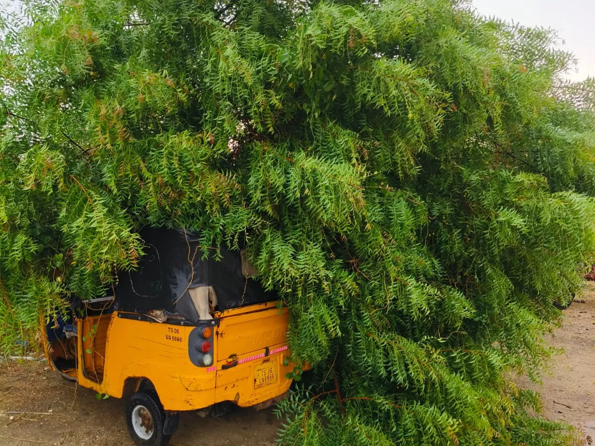 Rain and Gusty Winds In Telangana: Photos