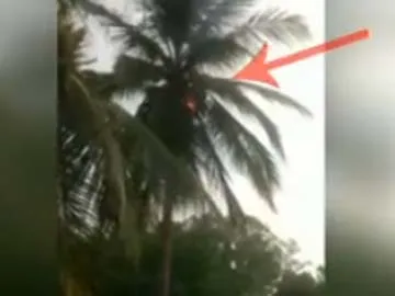 Thunderbolt in Kurnool three injured