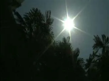 high temperature in andhra pradesh