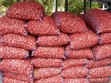 Onion Prices In Jarkhand Have Dropped To An Unbelievable Low