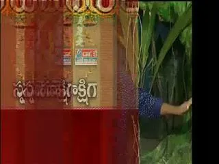 Variety Ganesh Idols In Warangal