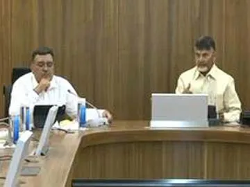 TDP frod Pulse Survey