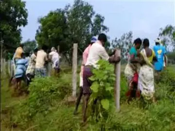 farmers fight on Pathivada Narayana Swamy son land