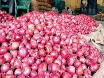 Onions rates decreased in Kurnool