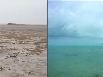 'The ocean is missing!' Rare phenomenon caused by Irma