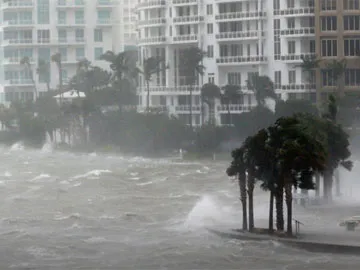 Telugu NRIs Response on Hurricane IRMA