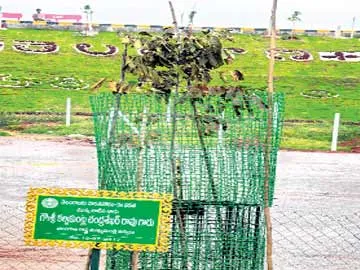 plant, which planted by KCR exsiccated