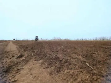 cultivation has decreased from four years