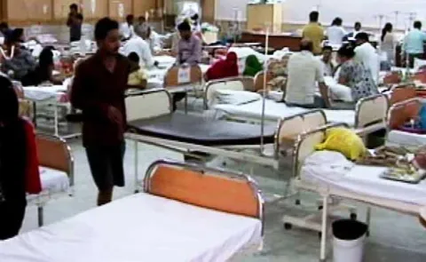 Dengue cases high in Andhra Pradesh