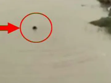 Man commits suicide in penna river