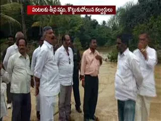 YSRCP MLA Peddireddy visited rain-hit areas to assess crop damage