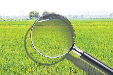 Telangana land regularisation scheme Cleansing  31st Dec not possible