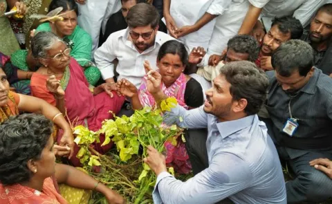 YS Jagan visits crops at Seetharampally, talks with farmers