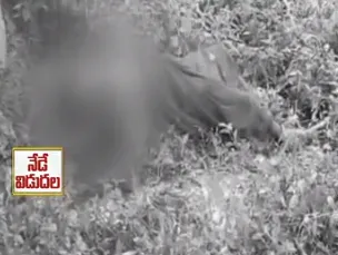 Unknown Dead Body Found at LB Nagar