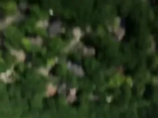 iPhone falls 500ft out of a helicopter - and survives