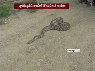 python Insisted in prakasaM district