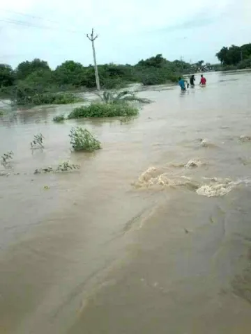 3 members missed in kundu river