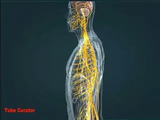 Can genes be turned on and off in cells