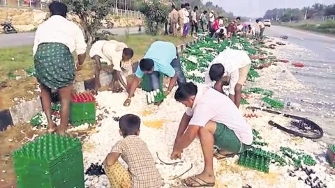 Bus hits egg-laden truck in Karnataka