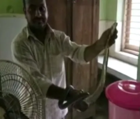 Snake at Operation Theatre in a Hospital ,Kothagudem