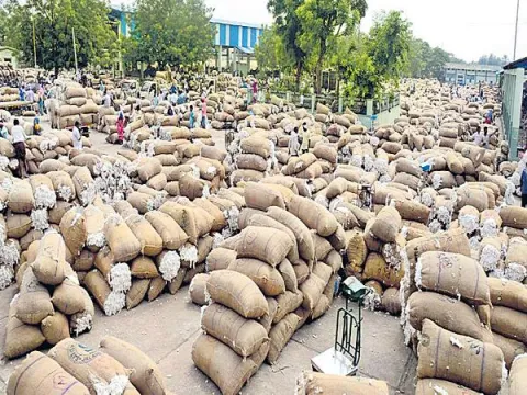 Cotton Farmers Protests At Adilabad Market Yard