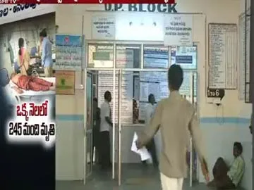245 people died in govt hospital