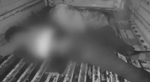 six killed in jadcharla road accident - Sakshi