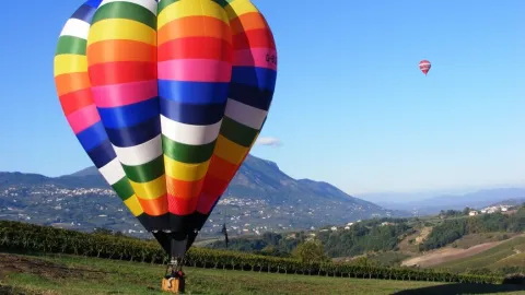 Hot Air Balloon Festival in Andhra's Araku Valley - Sakshi