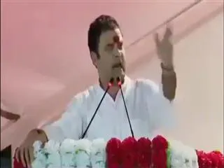 Rahul Gandhi's viral 'potato to gold' speech video - Sakshi