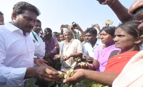 Y S Jagan Meet Cotton Farmers - Sakshi