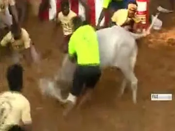 Jallikattu Contention again in Tamil Nadu - Sakshi