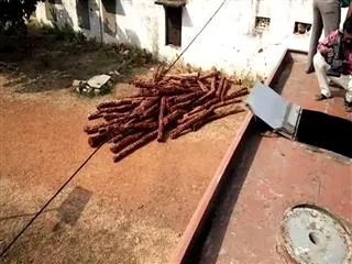 red sandal in oil tanker - Sakshi