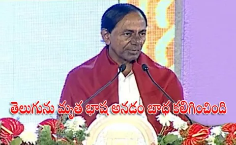 Telugu is must to study in Telangana, says CM KCR - Sakshi