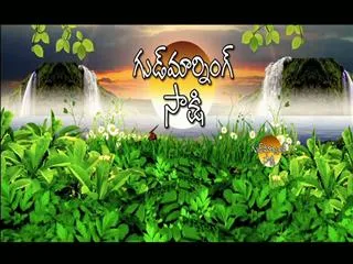 GoodMorning Sakhi 2nd December 2017 - Sakshi