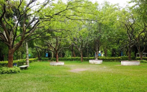 Oxygen parks to help For a breath of fresh air - Sakshi