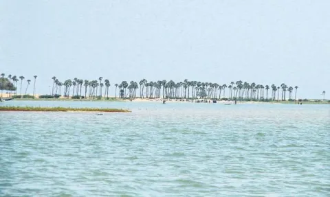 Tamilians cultivating Shrimp Cultivation illegally in 100 acres - Sakshi