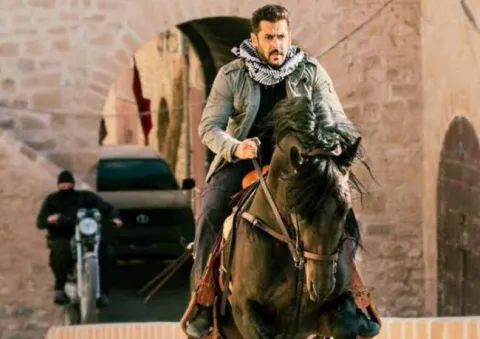 Tiger Zinda Hai roars at box office - Sakshi