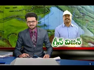 ground report || green vision - Sakshi