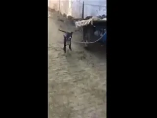 ex army man kills pet dog in punjab, video viral - Sakshi