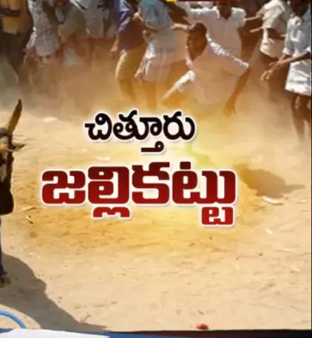 Jallikattu in the villages - Sakshi