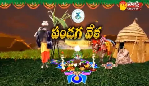 Panduga vela special editon - Sakshi