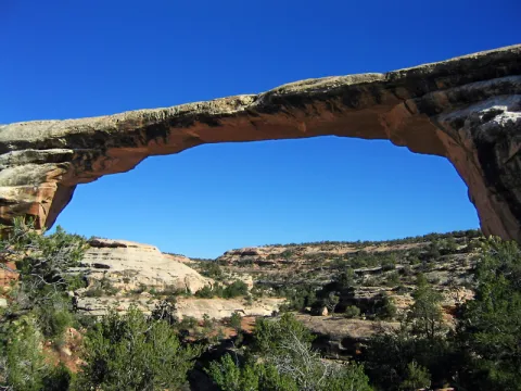 Natural Bridges attracts tourists in Utah - Sakshi
