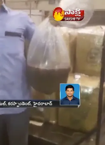 cat fish seized at Shamshabad Airport - Sakshi